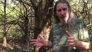 Cedar, The Fatwood Alternative