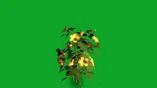 Yellow flowers effects green screen | moving flower green screen | flower animation green screen