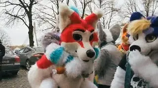 FURRY LATVIJĀ