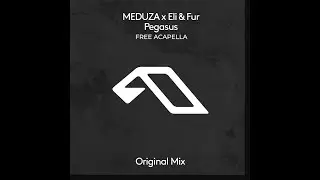 Meduza, Eliandfur - Pegasus (Free Acapella)