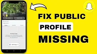 How to Fix Public Profile Not Showing on Snapchat (2025)