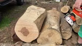Timberwolf echo versus Chinese knock off saw