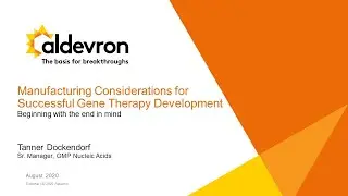 Manufacturing Considerations for Successful Gene Therapy Development | Tanner Dockendorf