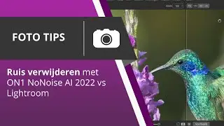 Ruis verwijderen met ON1 NoNoise AI 2022 vs Lightroom