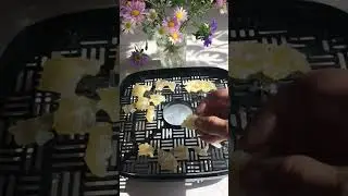 Цукаты из Дыни - Вывод