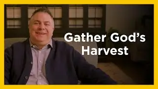 Gather God's Harvest - Radical & Relevant - Matthew Kelly