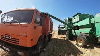 Трудовые будни продолжаются. УБОРКА УРОЖАЯ 2022 Пшеница. Часть 2