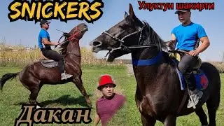 Улукмырзанын ШАКИРТИ🇰🇬 ХАЖИАКБАР ДАКАН менен СНИКЕРСИН ЧЫГАРДЫ