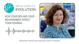 How Your Sex and Your Environment Affect Your Hearing - Professor Turi King