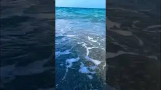 Summer Relax 🌊 How's your summer going?