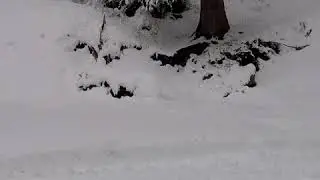 Родник по дороге на Кокжайлау