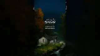 Красивое чтение Корана #quran #shorts  #суракорана