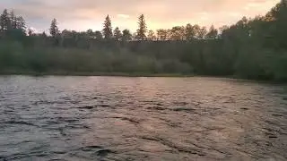 Evening on the Cowlitz River.
