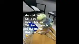 ￼ oy oy kıyamam nelerle uğraşıyorsun paşam😂🙋🏼‍♀️😂😂🌺