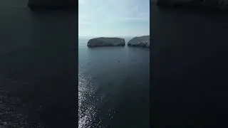 Me fui a ver ballenas de Cerca en Ixtapa Zihuatanejo.