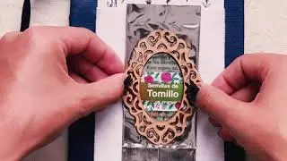 Kit DIY El poder de las plantas: La Salvia