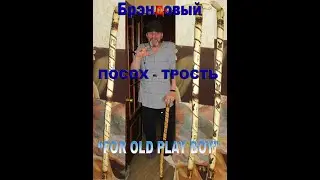 #ЛеонидЕфремов#PLAYBOY#   Брендовый посох - трость "FOR OLD PLAY BOY"