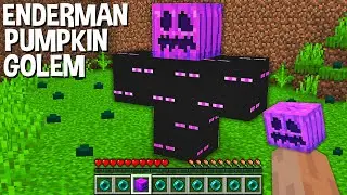 WHAT if SPAWN ENDERMAN GOLEM with SECRET PUMPKIN in Minecraft ??? SUPER GOLEM