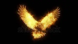 🔥 GOLDEN Eagle Logo – Burning Animated Eagle HD | Majestic Bird Logo Reveal 🦅