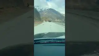 Зря он на него посмотрел 😤