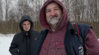 Свободу ястребиной сове