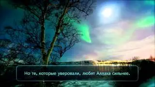Мишари аль-Афаси - Сура аль-Бакара, аяты 165-167