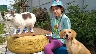 Лиза собирает Троллей, собака Тафи выполняет Команды - Кто лучше справится ?
