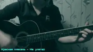 Красная плесень - Не улетай ( Acoustic cover МишкаМой)