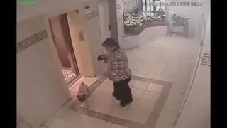 MR  PRANKSTER   LUCKY DOG OR MAN WITHOUT EGGS