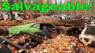 Found A Rare Ford Mustang In An Old Junkyard........Should We Save It?