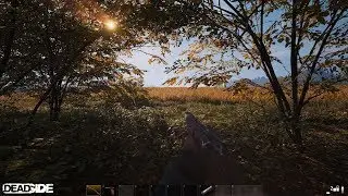 DeadSide. Нет еды и воды. Хардкор сервер с шансом лута Х1 (Сервер Radiogamer.ru)