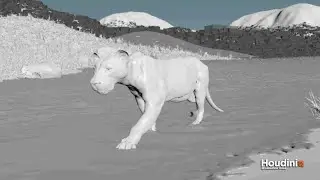 WIP|Shot Layout and simulation in FX houdini