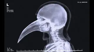 SCP Secret Laboratory:  I Swear I Have a PHd...