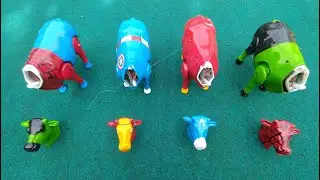 Looking for Moo Cow, Funny Cow, Assemble Hulk Cow Head, Eronman Cow, Captain America Cow