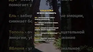 Эти деревья нужно обнимать👆🏻            Поделитесь, а Вы это делаете?     #здоровье #рекомендации