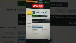 vMix Call 