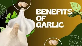 Surprising Health Benefits of Garlic You Need to Know About