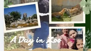B.ed Panjab University Trip #panjabuniversitychandigarh #shortsviral #zoo