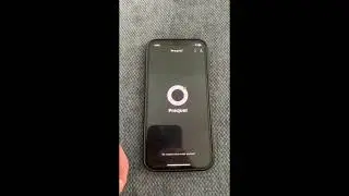 Prequel МОД | на айфон 📲 