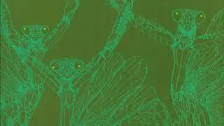 WhoMadeWho Vs PQM - Montserrat Is Sleeping (Jaap Ligthart Mashup)