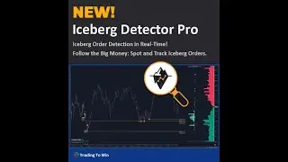TTW Iceberg Detector for ATAS: How to Manage the License in ATAS!