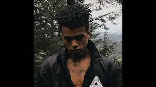 XXXTENTACION - GNARLY BASTARD (AUDIO)