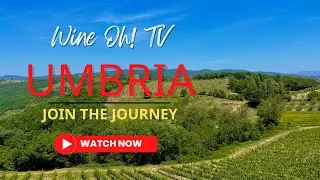Discover Umbria: Italy’s Hidden Wine & Food Wonderland | Secret Grape, Truffle & Ancient Traditions