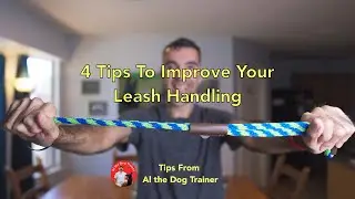 4 Tips to Improve Your Leash Handling Skills