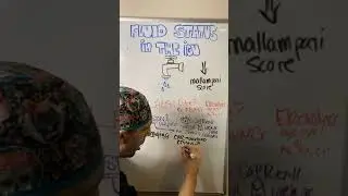 Fluid Status in the ICU
