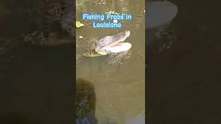 Things We Deal with While Fishing in Louisiana 