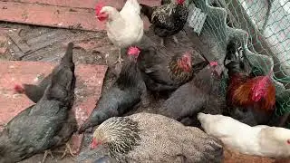 Все что у меня осталось ..