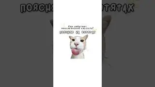 Как работает мексиканский картель?