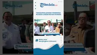 TANGGAPAN JOKOWI SOAL FENOMENA PILKADA LAWAN KOTAK KOSONG