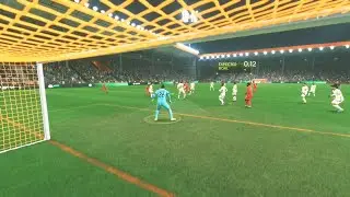 DISPLAY WONDER SAVES : Labrovic Saves 
